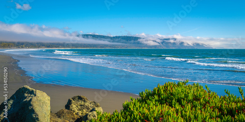 Fototapeta Naklejka Na Ścianę i Meble -  Seascape over the green beach plants and volcanic rocks with waves rolling in on Crescent Beach near Del Norte Coast Redwood State Park in Crescent City, California