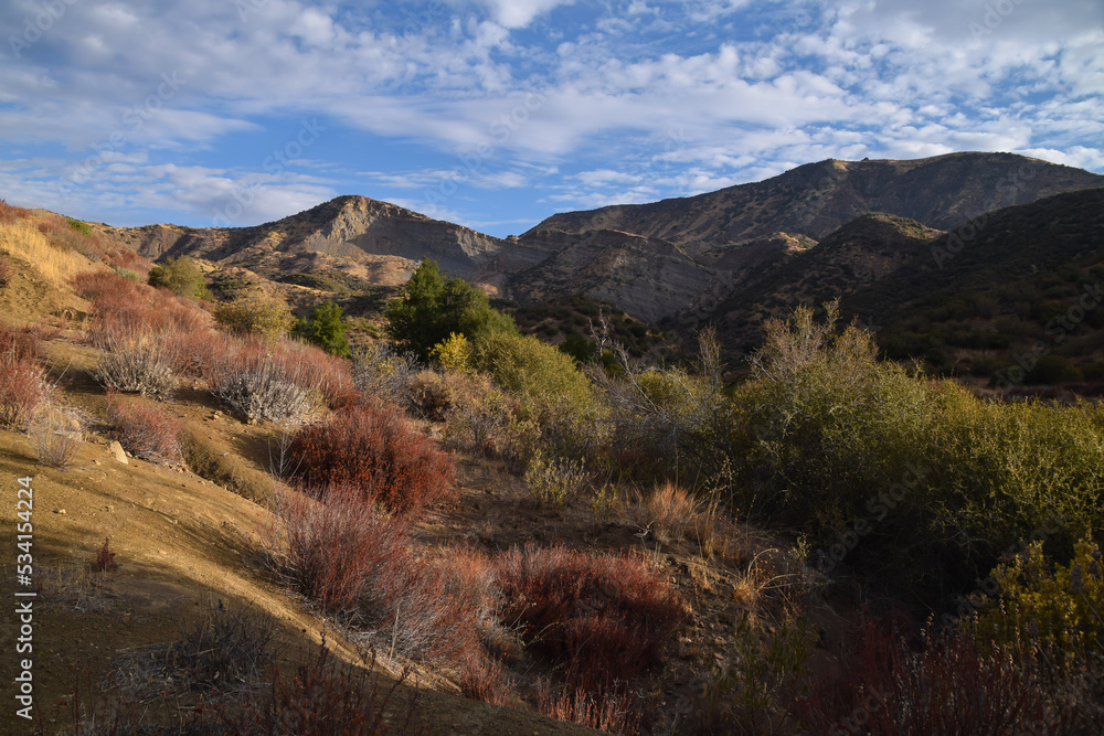 Sespe Wilderness, Los Padres National Forest Sespe Wilderness, Los Padres National Forest