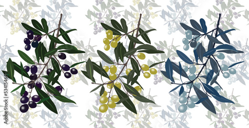 Olive Branches Vector Illustration