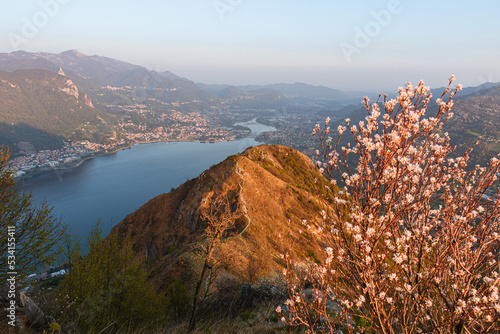 Photos the alps, lakes and cities of brianza seen in the sunset light from the top of mount Barro, near the town of lecco, Italy - April 2022