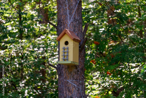 Wooden bird house on tree in the farm park zone. Shelter for bird breeding. Selective focus © Алексей Филатов