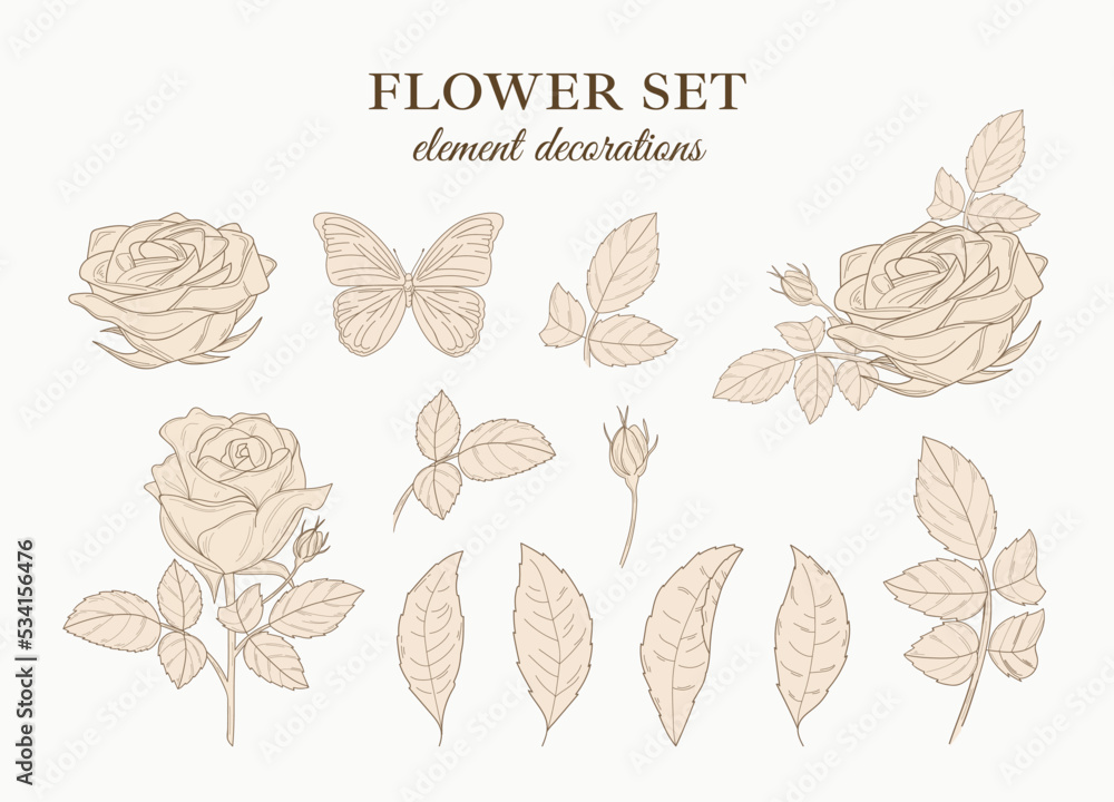 Flower illustration set Flower illustration set