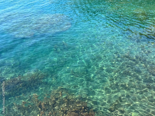 Turquoise blue sea clear transparent water with dense algae at the bottom.