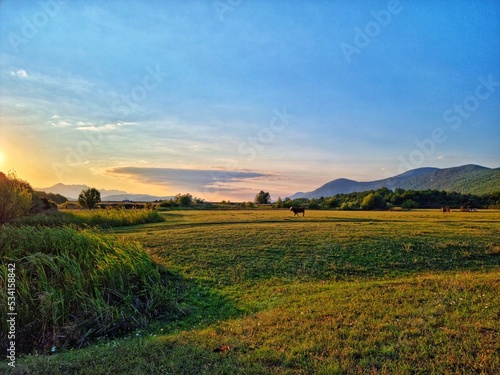 Sunset on the farm