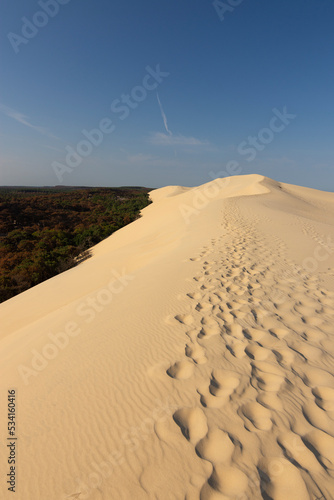 View of Dune du Pilat in France. High quality photo