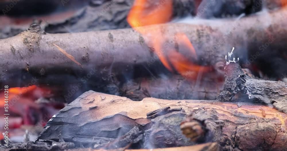 A fire made of logs while cooking barbecue on vacation at the weekend, burnt birch and pear logs while cooking meat on coals A fire made of logs while cooking barbecue on vacation at the weekend, burnt birch and pear logs while cooking meat on coals