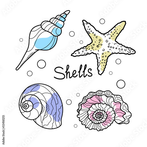 Vector drawing sea different seashells. Drawn by a line and color on a white background. Collection of seashells of various shapes