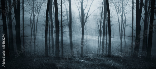 dark fantasy forest panorama © andreiuc88