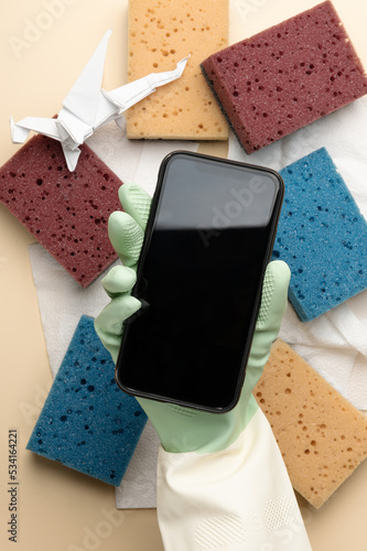 Hand with phone against sponges and paper towels close upper view. Cleaning service promotion campaign. Professional help with housework (ID: 534164221)