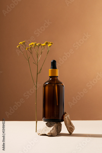 Yellow tansy flowers and bottle of essential oil on brown background. Natural cosmetic product made of medicinal plant put on stone. Healthy lifestyle