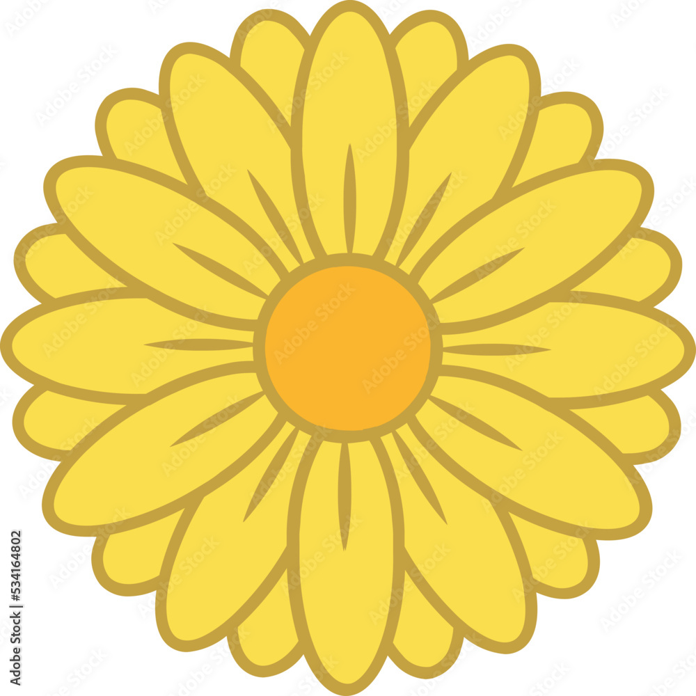 Fototapeta premium Flower for Decoration