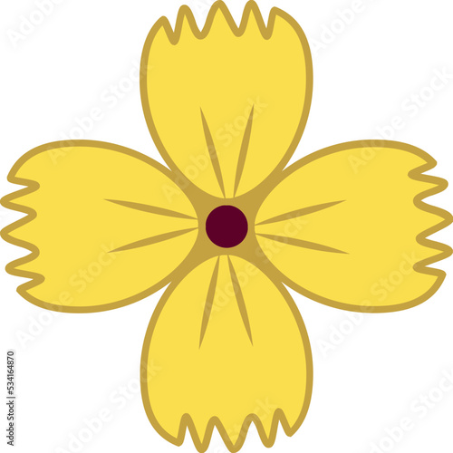 Flower for Decoration