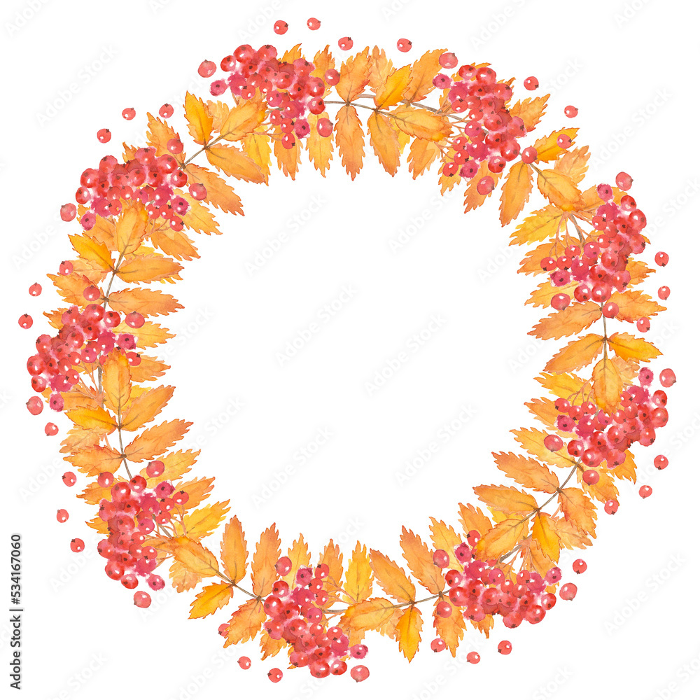 Autumn leaves and red rowanberries. Watercolor wreath on a white background. Autumn leaves and red rowanberries. Watercolor wreath on a white background.