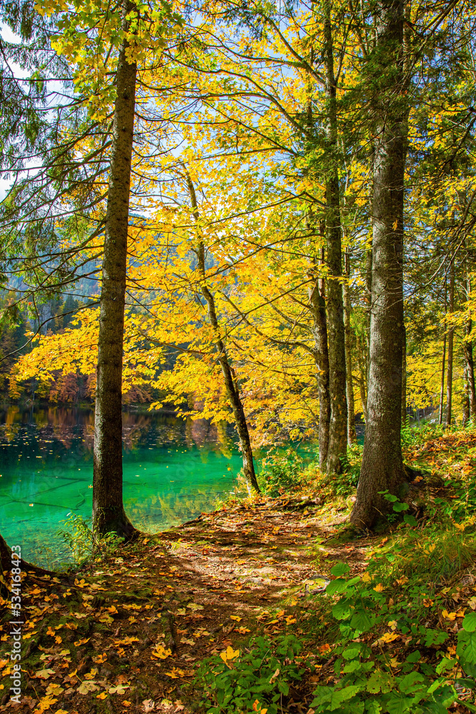 Yellow, orange and red leaves