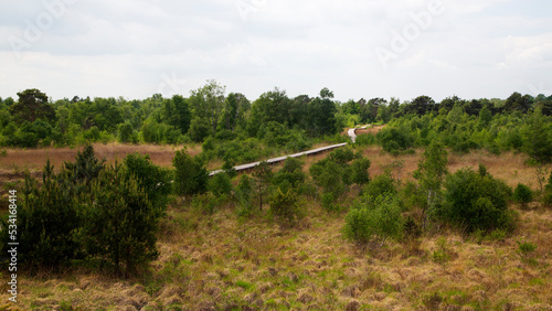 Typical landscape of Dutch National Park De Groote Peel, Nederweert, Limburg, Netherlands