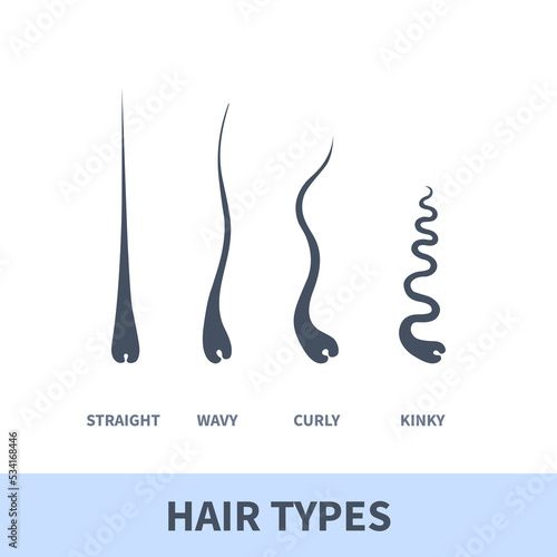 Straight, wavy, curly, kinky hair types classification system set. Detailed human hair growth style chart. Health care and beauty concept. Vector illustration.