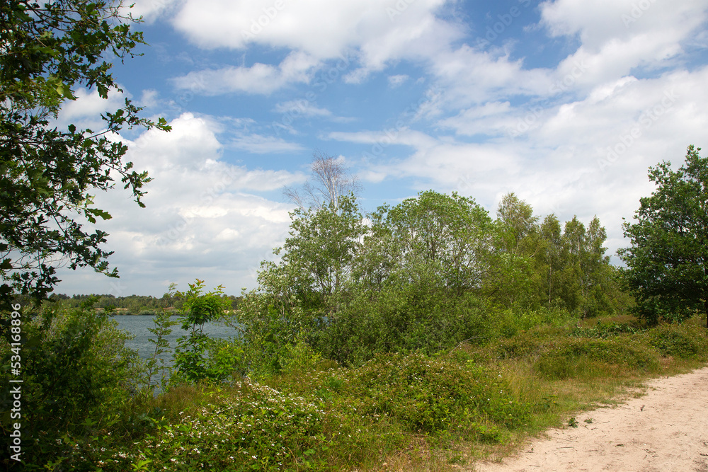 Typical landscape around Lake Reinders in Dutch National Park De Maasduinen; Bergen, Limburg, Netherlands