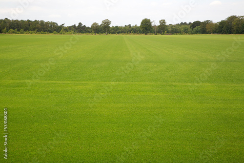 Field to cultivate grass for playing fields