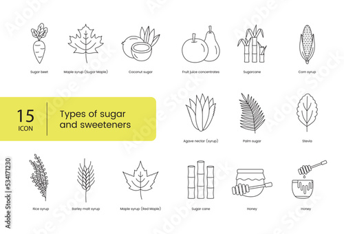 Types of sugar and sweeteners set line icons in a vector includes maple and sugar beet, coconut and fruit juice concentrates, sugarcane and corn, agave nectar and palm, stevia and rice, barley malt.