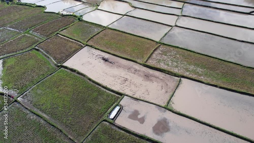 Flooded fields, harvested with crop residues seen at left, tilled and flattened at right. Man using walking tractor for tilling plowed paddy. High angle shot from static drone photo