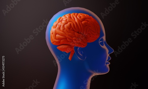 3d brain of human healthcare illustration rendering, health of neuron cell, think of idea on background