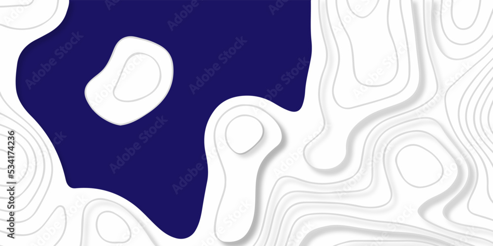 Topographic map background. silver line topography maount map contour background, geographic grid. Abstract vector illustration.
Topographic map background. silver line topography maount map contour background, geographic grid. Abstract vector illustration.