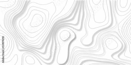 Topographic map background. silver line topography maount map contour background, geographic grid. Abstract vector illustration.