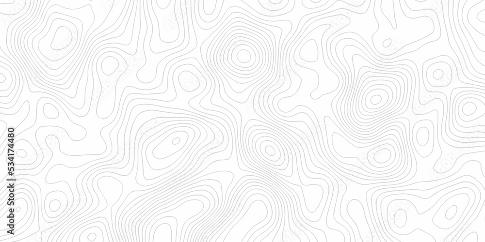 Topographic map background. silver line topography maount map contour background, geographic grid. Abstract vector illustration.	
