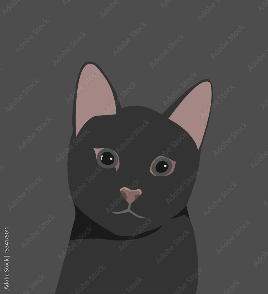 black cat portrait animal face design
