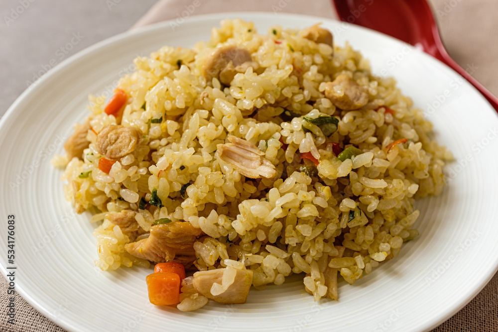 Chicken Breast Fried Rice with Chicken and Vegetables Chicken Breast Fried Rice with Chicken and Vegetables