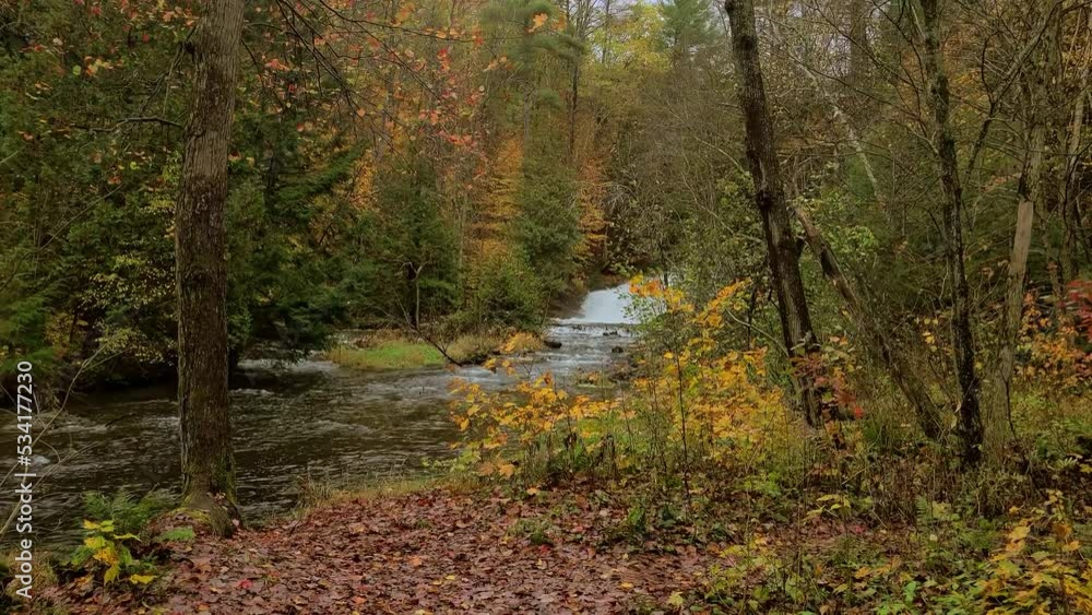 Generic natural attraction of autumn forest and river flow in Canada forest Generic natural attraction of autumn forest and river flow in Canada forest