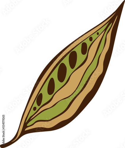 Autumn pod seeds leaf doodle hand drawn, green and brown. Element design. PNG.