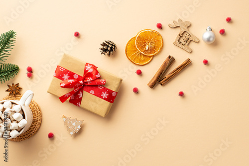 Winter holidays concept. Top view photo of craft paper giftbox bauble wood reindeer ornament cup of cocoa with marshmallow fir branch cinnamon mistletoe dried citrus slice on isolated beige background