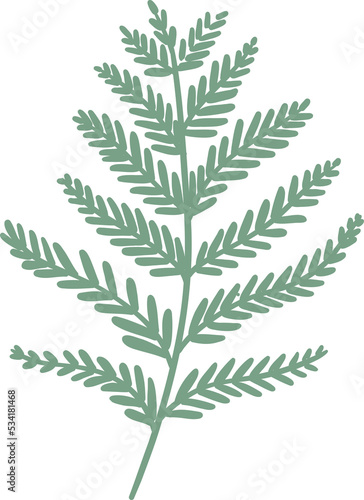 Floral branch and leaf decorative element  clipart natural illustration