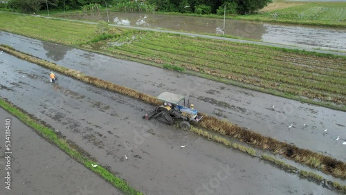 Tractors Ploughing The Paddy Rice Fields in Kedah, Malaysia