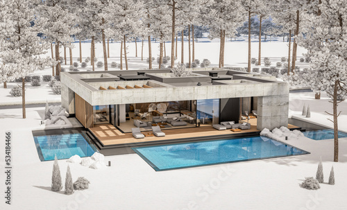 3d rendering of new concrete house in modern style with pool and parking for sale or rent and beautiful landscaping on background. The house has only one floor. Cool winter day with shiny white snow