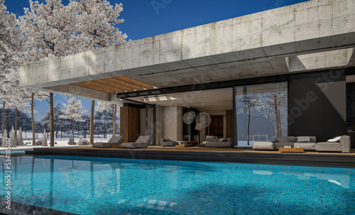 3d rendering of new concrete house in modern style with pool and parking for sale or rent and beautiful landscaping on background. The house has only one floor. Cool winter day with shiny white snow © korisbo