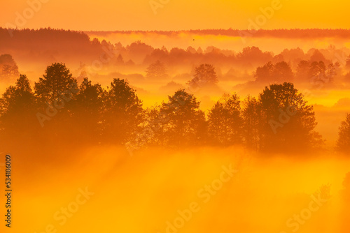 Sunrise Natural Background. Aerial View Amazing Misty Plain Landscape. Morning Fog Illuminated By Sun Covers Plain Landscape. Mysterious Morning Time. Enchanted Morning Sun Shines On Plain.