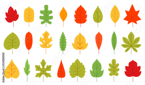 Autumn leaf flat floral icon set. Fall colorful nature organic leaves of oak birch maple tropical monstera, poplar ash aspen chestnut tea sprout isolated on white. Forest plant foliage deciduous tree