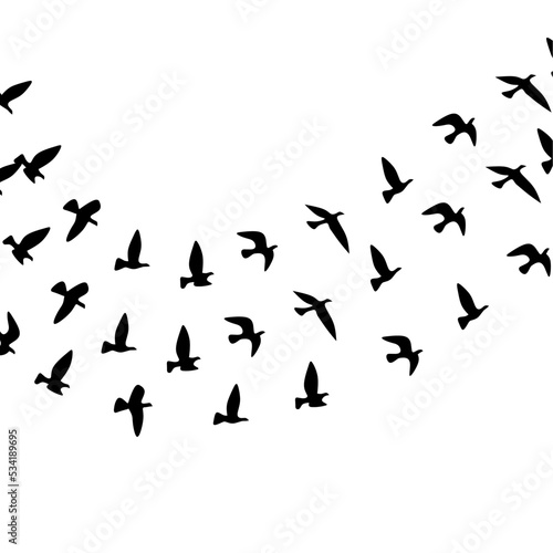 Fotografia Silhouette of a group of flying birds