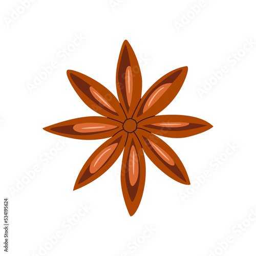 Flat vector illustration of a dry balyan in the shape of a star. Isolated cartoon drawing on a white background.