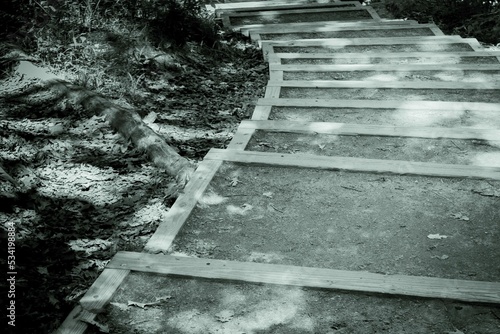 Fotografia, Obraz Grayscale of descending steps in a park