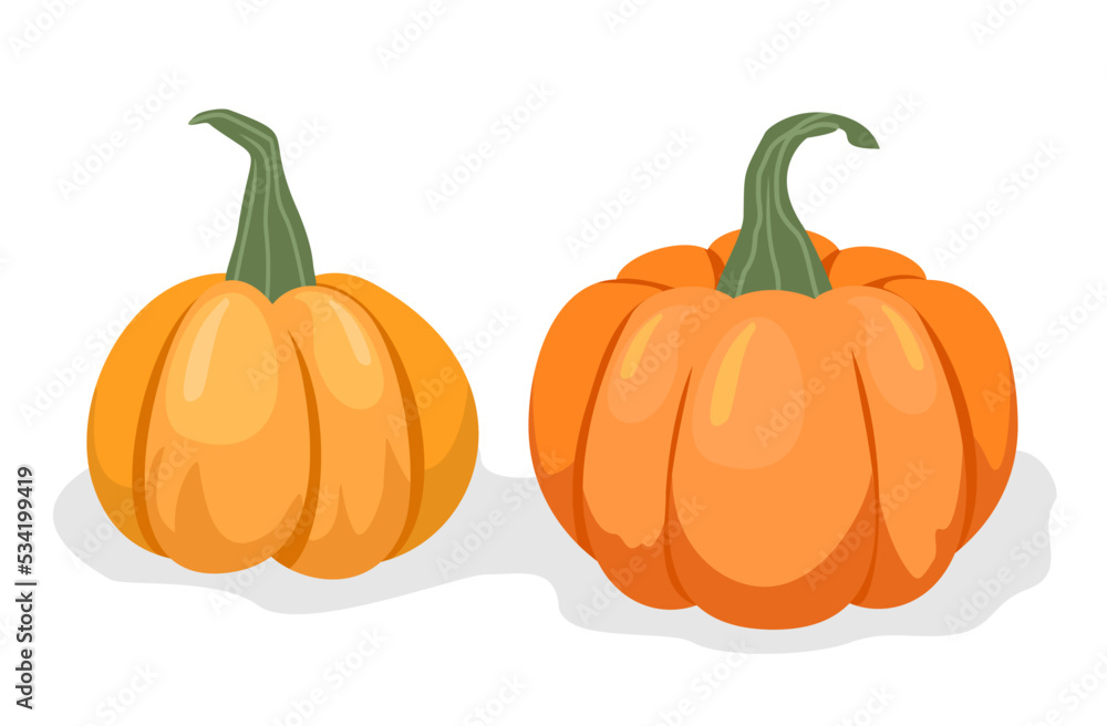 Vector set of orange pumpkins isolated on a white background. Autumn halloween pumpkin, vegetable graphic icon or print. Vector set of orange pumpkins isolated on a white background. Autumn halloween pumpkin, vegetable graphic icon or print.