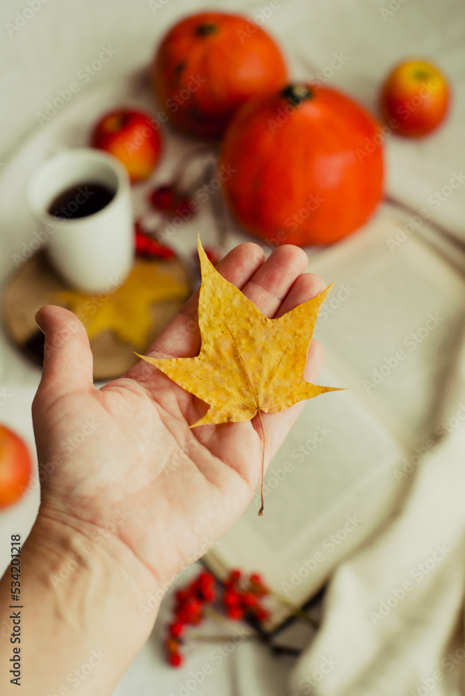 hands with pine yellow maple
leaf on the background of an autumn still life of a cup of tea pumpkins apples and yellow leaves. Autumn mood hands with pine yellow maple
leaf on the background of an autumn still life of a cup of tea pumpkins apples and yellow leaves. Autumn mood