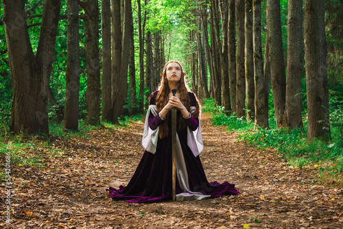 Quadro em tela Elf maiden