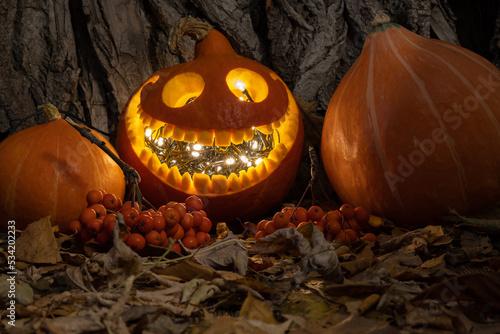 Smiling pumpkin and dry leaves on dark wooden background Halloween concept