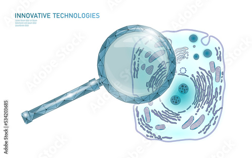 Animal human cell structure educational science. Microscope 3d eukaryotic nucleus organelle medicine technology analysis. Glowing blue biology poster template isolated line art vector illustration