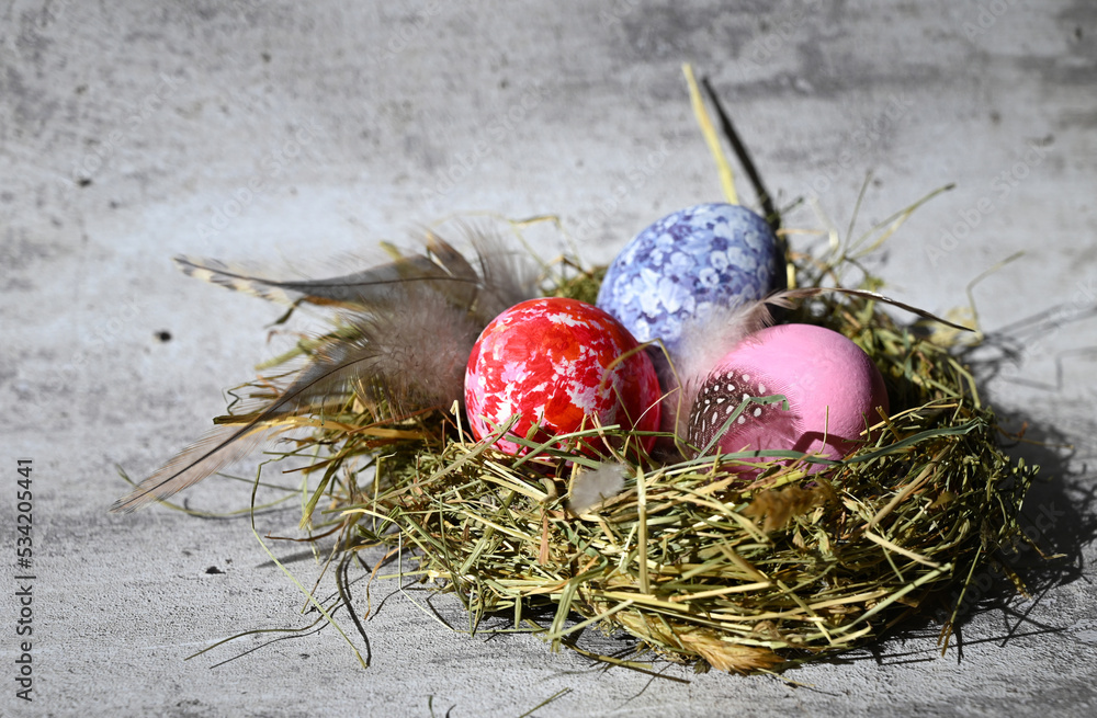 Fototapeta premium Colorful easter eggs in nest on meadow