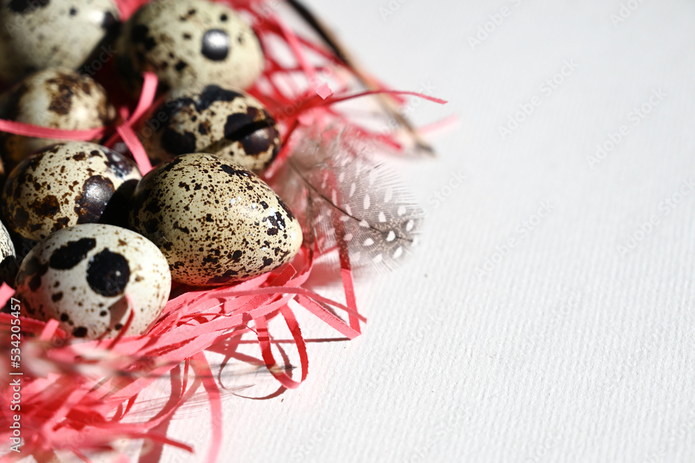 Obraz premium Heap of quail eggs decorated with feather. Organic food. Rustic style. Top view.