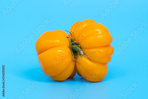 Ugly vegetables concept. Tomatoes of various unusual shapes on a blue minimal background. A metaphor for imperfection, the female body, the art of photography and form. photo